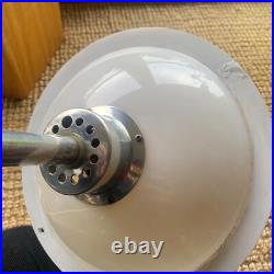 Lumitron Tulip Lamp Robert Welch Vintage 1960s Atomic Age